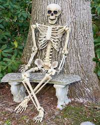 See more ideas about halloween outdoor decorations, outdoor halloween, skeleton decorations. Deko Skelett 160 Cm Party Halloween Dekoration Ganzkorper Horro Diy Halloween Costumes Easy Diy Halloween Costumes For Women Best Friend Halloween Costumes
