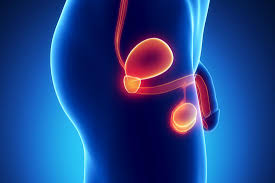 Vasectomy — also called male sterilization — is a surgical procedure. Vasectomy Expectations Effectiveness And Risks