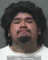 KCSO investigates Sunday shooting death