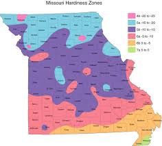 Landscaping Ideas For Missouri Ehow Trees To Plant Garden Flower Beds Backyard Landscaping Designs