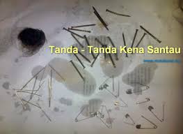 Bahan bisa boleh diperoleh daripada bahan untuk membuat racun seperti. Tanda Tanda Kena Santau Matibahagia