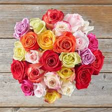 However, an opportunity came knocking three years later when shark robert herjavec approached the company about working with them for flowers for his wedding. Send Mother S Day Flowers With The Bouqs Company Over 100 Bouquets