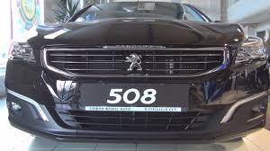 Image result for Brun Guaranja 2014 Peugeot