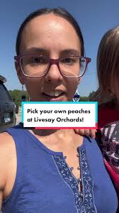 Pick your own peaches at Livesay Orchards! Fun for the whole family and the  best tasting peaches around! We had a wonderful time. #porterpeaches  #livesayorchards #oklahoma #peaches #peachseason ...