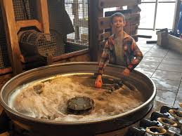Maybe you would like to learn more about one of these? The Museum Of Natural Curiosity At Thanksgiving Point