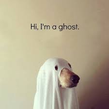 6 Last Minute Costumes For Halloween Her Campus Ghost Dog Halloween Costumes To Make Homemade Halloween Costumes