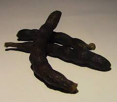 Image result for Xylopia aethiopica