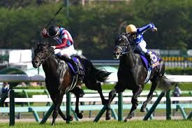 News source: 東スポ競馬