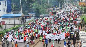 Image result for Image of Nigerian Labour Congress