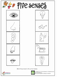Preschool Worksheets Five Senses In 2020 Five Senses Worksheet Kindergarten Worksheets Printable 5 Senses Worksheet