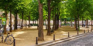 Nous voici au cœur de paris, là où tout a commencé ! Ile De La Cite Ile St Louis Paris Insiders Guide
