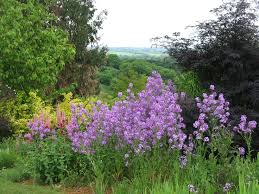 A Beautiful View Taken At The Herb Centre Banbury Magical Garden Landscape Beautiful Views