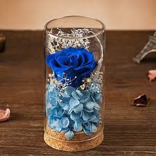 Send beautiful, affordable flowers from only p699 with free same day delivery in metro manila, cainta, taytay, cebu and davao. Preserved Rose Glass Apollobox