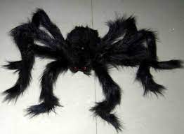 In fact, these spider pictures may inspire you to invest in a good macro lens and try your hand at finding a few friends around your own house. China Halloween Party Decorations Black Spider Spider Plush Scary Spider Toys Halloween Supplies China Halloween And Halloween Supplies Price