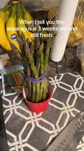 Image result for Asparagus aspergillus