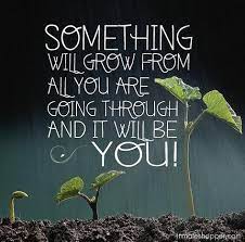 Inmate Shopper Prisoner Inmate Resources Prisoner Inmate Services Prison Quotes Prison Inspirational Quotes