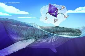 Coingecko news gives you the best of cryptocurrency and blockchain news in one place. Finiko Cointelegraph Consulting Deep Diving With Ethereum Whales Finiko