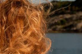 Redheads Will You Go White Or Gray The Answer And Why Shades Of Red Hair Red Hair Going Grey Light Red Hair