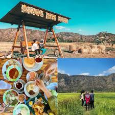Unique things to do in ireland. 22 Top Things To Do In Perlis For Your Next Vacay Dahcuti Blog
