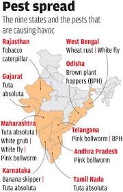 The impacts of climate change include warming temperatures, changes in precipitation, increases in the frequency or intensity of some extreme weather events, and rising sea levels. After An Erratic Monsoon Farmers In Nine States Struggle With Pest Outbreaks
