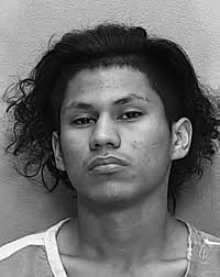 Belleview Rotary Rib Sale