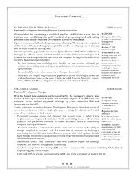 Bid Managere Sample Cv Example Shalomhouse Us Business Development ...