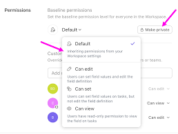 ClickUp custom field settings