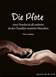 Pin Von Beatrice Toure Auf Aphorismen Spruche Weisheiten Spruche Lebensweisheiten Spruche Weisheiten Spruche