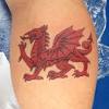 Welsh dragon the flag of wales. 1