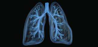 Click here to read more about prostate cancer. Lung Cancer Awareness Month 2020 Stephensons Solicitors Llp