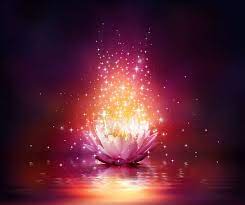 Magic Flower On Water Lotus Flower Wallpaper Lotus Art Lotus Flower Art