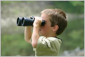 Image result for Bird watchers