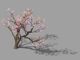 Peach Blossom Tree 3d Model 3ds Max Files Free Download Modeling 43277 On Cadnav In 2020 Peach Blossom Tree Blossom Trees Peach Blossoms