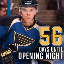 Not That We Re Counting Or Anything St Louis Blues Hockey Blues Nhl Louis Blue