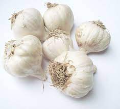 Maybe you would like to learn more about one of these? Growing Garlic In Home Gardens Umn Extension