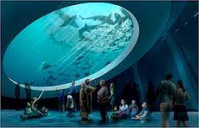 alex your miami realtor new science museum to break ground friday 水族館デートの服装 ファンタジーな風景 バケーション
