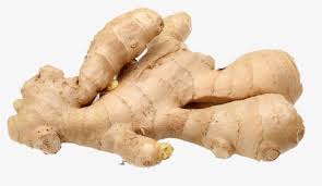 Download and use 5,000+ bathroom stock photos for free. Ginger Png Images Free Transparent Ginger Download Kindpng