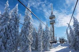 It was a cold winter day but she warmed up the et nicely when she showed us what she is working with. 227 Best Snejanka Images Stock Photos Vectors Adobe Stock