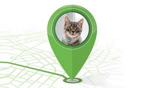 It is also good for tracking teens, spouses, elderly persons or assets, enjoy traveling that don't need to worry about pets. Can You Gps Your Cat Modkat