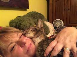 Dunk your eye in it, then. Pet Doctor Of Flushing 17 Photos 29 Reviews Veterinarians 2562 Francis Lewis Blvd Flushing Ny Phone Number