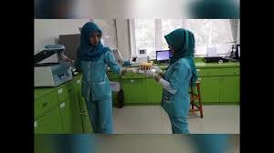 Laboratorium Klinik Westerindo Youtube