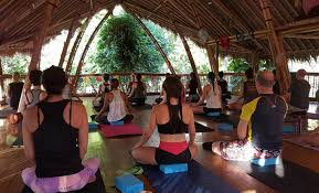 Check spelling or type a new query. The Top 5 Most Dreamy Yoga Studios In Bali Yogiapproved