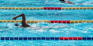 Tutte le gare, ad eccezione delle due maratone che si sono svolte al forte di copacabana. Come Vedere Le Gare Di Nuoto Dell Italia Alle Olimpiadi Orari E Lista Nuotatori