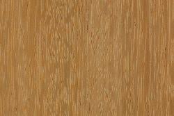 Image result for Xylia africana