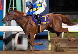 Check spelling or type a new query. è¹æ© è¥æ½®ã¹ããªã³ã 1çé¦¬ã« ç¿'å¿éããã£ã¨s 1 2çé¦¬ã« åªé§¿ã¹ããªã³ã åªååºèµ°æ¨© ã¹ããã Sponichi Annex ã®ã£ã³ãã«