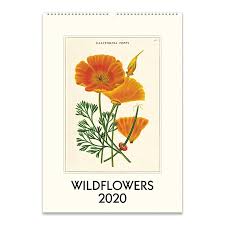Cavallini Wall Calendar Wildflowers 2020 Wall Calendar Flower Calendar Wild Flowers