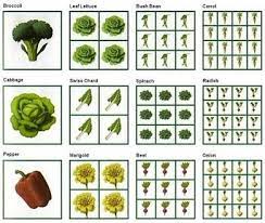 Romaine lettuce square foot garden. Square Foot Gardening 9 Pro Tips Bob Vila