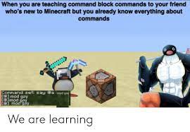 When You Are Teaching Command Block Commands To Your Friend Who S New To Minecraft But You Already Know Everything About Commands Io1 Mod Gay Ga We Are Learning Minecraft Meme On