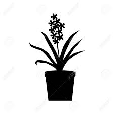 Potted Plants Silhouette Isolated On White Background Royalty Free Cliparts Vectors And Stock Illustration Image 51642491 15 potted plant clipart library black and white professional designs for business and education. potted plants silhouette isolated on white background