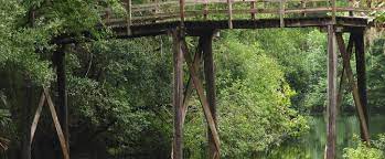 Maybe you would like to learn more about one of these? Hillsborough River State Park Florida State Parks